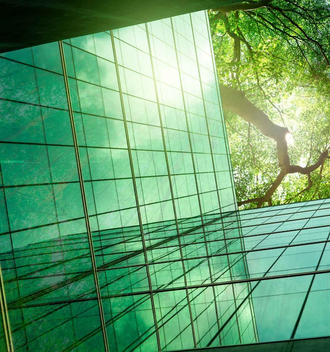 entreprise et collectivites energie verte